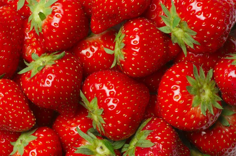 Strawberries forever