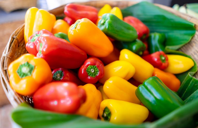 Red,Green,And,Yellow,Bell,Pepper,,Sweet,Pepper,,,Capsicum