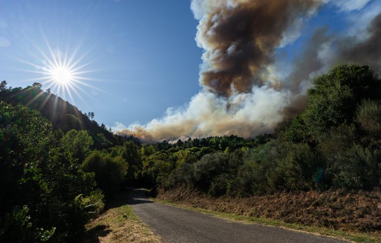 Regeringen accepterar nya skogsbrandsförebyggande åtgärder