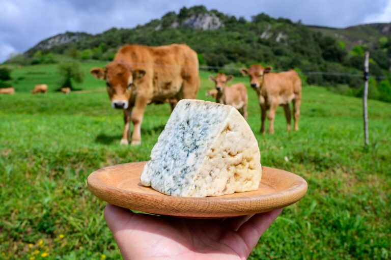 Cabrales,,Artisan,Blue,Cheese,Made,By,Rural,Dairy,Farmers,In
