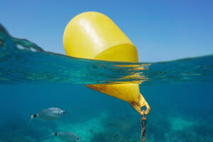 Havssensorer installeras på Costa del Sol