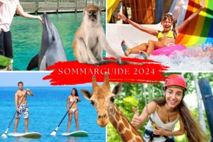 Sommarguide 2024