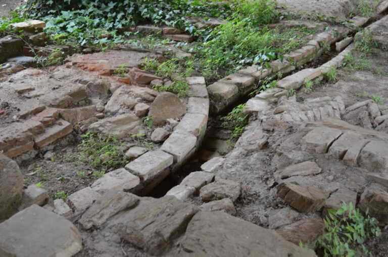 Gratis guidade besök vid arkeologisk utgrävning i Mijas