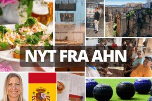 AHN har sin mest aktiva tid just nu