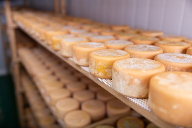 Lokal getost bland världens 50 bästa ostar