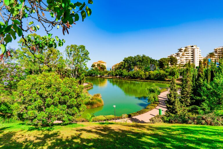 Det ska planteras nytt i Parque de la Paloma