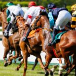 Nytt hopp för galoppbanan i Mijas